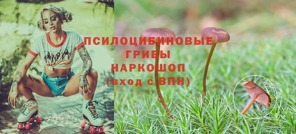 бутик Богородицк