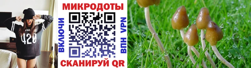 Галлюциногенные грибы ЛСД  Щигры 